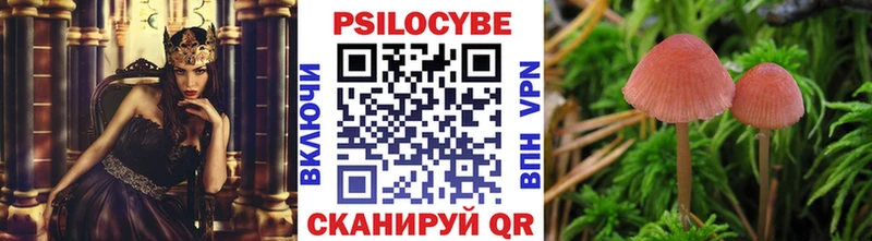 Купить  Обоянь  Галлюциногенные грибы Psilocybine cubensis 
